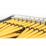 Digitus DK-1743-A-VH-1, Câble Jaune