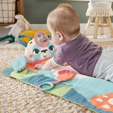 Fisher-Price Planet Friends – Tapis d’éveil Panda à Rouler, Tapis de jeu Tapis de jeux pour bébé, Tissu, Plastique, Multicolore