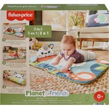 Fisher-Price Planet Friends – Tapis d’éveil Panda à Rouler, Tapis de jeu Tapis de jeux pour bébé, Tissu, Plastique, Multicolore