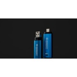 Kingston IronKey Vault Privacy 50 256 Go, Clé USB Bleu clair/Noir