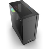 Sharkoon S25-W2 ARGB boîtier midi tower Noir | 2x USB-A | 1x USB-C | RGB | Verre Trempé