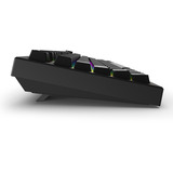 Sharkoon clavier gaming Noir, Layout DE, Sharkoon Linear