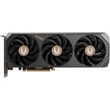 ZOTAC GeForce RTX 5080 SOLID CORE, Carte graphique 