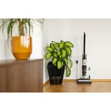 gorenje NEOCLEAN SFC216100G, Aspirateur sec/humide 