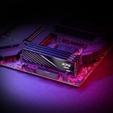ADATA 32 Go DDR5-5600 (2x 16 Go) mémoire vive Noir, AX5U5600C4616G-DTLABBK, XMP 3.0, EXPO
