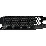 Gainward NE7506TS19P1-GB2062T, Carte graphique 