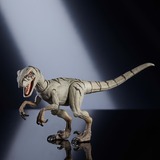 Mattel JURASSIC WORLD – COLLECTION HAMMOND – Figurine Atrociraptor « Ghost » Jurassic World – COLLECTION HAMMOND – Figurine Atrociraptor « Ghost », 8 an(s), Gris