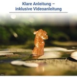 Ravensburger Disney Villainous - Maintenant ça va chauffer, Jeu de société 