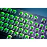 Razer Green Switch-Set, Switch pour clavier Vert/transparent