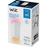 WiZ 929003210001, Lumière LED Blanc