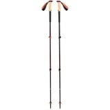 Black Diamond Bâtons de trekking Trail Cork, Appareil de fitness Anthracite/Orange