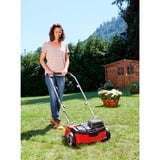 EINHELL GC-SC 36/31 Li-Solo 30 L Aspirateur sans sac Sec&humide Sac à poussière, Scarificateur Rouge/Noir, Aspirateur sans sac, Sec&humide, Sac à poussière, 30 L, Filtrage, 90 dB