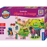 KOSMOS 683672, Puzzle 