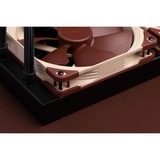 Noctua NA-SAVG2, Joint Marron