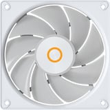 Ocypus Gamma F12 Elite ARGB ventilateurs de boîtier Blanc, 3 pièces, 120 x 120 x 25 mm, PWM