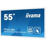 iiyama ProLite TF5539UHSC-W1AG, Affichage public Blanc, 4K UHD, VGA, HDMI, DisplayPort, audio, tactile