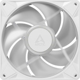 ARCTIC BioniX P14 A-RGB ventilateurs de boîtier Blanc, 3 pièces, 140 x 140 x 28 mm, PWM