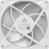 ARCTIC BioniX P14 A-RGB ventilateurs de boîtier Blanc, 3 pièces, 140 x 140 x 28 mm, PWM