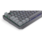 ENDORFY Thock V2 RGB clavier gaming mécanique Gris, Layout DE (QWERTZ), ENDORFY Red, 100%