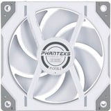 Phanteks D30-120 PWM Regular ventilateur de boîtier RGB  Blanc, 120 x 120 x 30 mm, 1 pièce, connecteur de ventilateur PWM à 4 broches