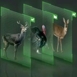 Reolink Go Series G450 + Solar Panel 2 Dôme Caméra de sécurité IP Extérieure 3840 x 2160 pixels Plafond/mur, Caméra de surveillance Camouflage, Caméra de sécurité IP, Extérieure, Avec fil &sans fil, Google Assistant, Externe, Plafond/mur