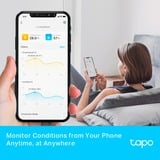 TP-Link Tapo T315 Contrôleur intelligent de température et d'humidité, Capteur 