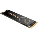 Team Group T-Force GA PRO 2 TB SSD Noir