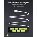 goobay Câble de raccord ultrafin Cat.8.1 slim, U/FTP Blanc