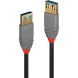 Lindy 36762 câble USB USB 3.2 Gen 1 (3.1 Gen 1) 2 m USB A Noir, Câble d'extension Noir/gris, 2 m, USB A, USB A, USB 3.2 Gen 1 (3.1 Gen 1), 5 Gbit/s, Noir