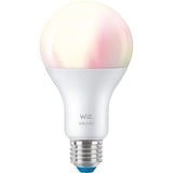 WiZ Ampoule 13 W (éq. 100 W) A67 E27, Lampe à LED Ampoule intelligente, Blanc, Wi-Fi, E27, Multicolore, 2200 K