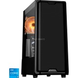 ALTERNATE WLG-INT-031, PC gaming Noir/transparent