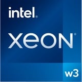 Intel® Xeon® w3-2525 socket 4677 processeur Tray