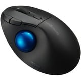 Kensington Trackball Pro Fit Ergo TB450 Noir/Bleu, Droitier, Trackball, RF sans fil + Bluetooth, 1600 DPI, Noir, Bleu