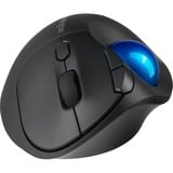 Kensington Trackball Pro Fit Ergo TB450 Noir/Bleu, Droitier, Trackball, RF sans fil + Bluetooth, 1600 DPI, Noir, Bleu