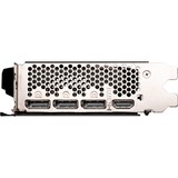 MSI V517-006R, Carte graphique 
