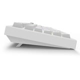 Sharkoon SKILLER SGK55W RGB clavier gaming Blanc, Layout DE (QWERTZ), Sharkoon Linéaire, 75%