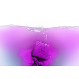 Spyra SpyraColor jaune et violet, Couleur 