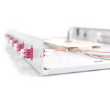 Digitus Boîte de fusion fibre optique, 1U, équipée, LC, OM4, Boîte de raccordement Gris