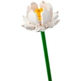 LEGO Les fleurs de lotus, Jouets de construction 40647