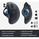 Logitech ERGO M575 for Business souris Droitier RF sans fil + Bluetooth Trackball 2000 DPI Graphite/Bleu, Droitier, Trackball, RF sans fil + Bluetooth, 2000 DPI, Graphite