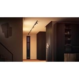 Philips Hue Perifo straight basic ceiling set (3 spots, 1 luminaire à lattes), Lampe Noir, Philips Hue White and Color ambiance Kit de base Perifo pour plafond, droit (3 spots, 1 barre lumineuse), Spot d'éclairage intelligent, Bluetooth, Noir, LED intégrée, Métal, Synthétiques, Ampoule(s) non remplaçable(s)