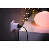 Philips Hue SmartPlug, Switch socket Blanc