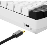 Sharkoon SGK50 S4 clavier USB QWERTZ Allemand Blanc, clavier gaming Blanc/Noir, Layout DE, Kailh Red, 60%, USB, QWERTZ, LED RGB, Blanc