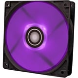 Xilence Performance A+ XF063 Boitier PC Ventilateur 12 cm Noir 1 pièce(s) ventilateur de boîtier RGB  Noir, 120 x 120 x 25 mm, PWM, Ventilateur, 12 cm, 500 tr/min, 1500 tr/min, 32,5 dB, 119 cfm
