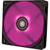Xilence Performance A+ XF063 Boitier PC Ventilateur 12 cm Noir 1 pièce(s) ventilateur de boîtier RGB  Noir, 120 x 120 x 25 mm, PWM, Ventilateur, 12 cm, 500 tr/min, 1500 tr/min, 32,5 dB, 119 cfm