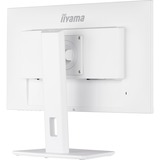 iiyama Iiya 24 L XUB2492HSU-W5 