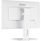 iiyama Iiya 24 L XUB2492HSU-W5 