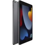 Apple  tablette 10.2" Gris