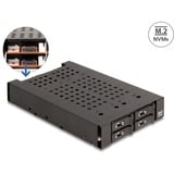 DeLOCK Châssis amovible 3,5″ pour 4 x M.2 NVMe SSD, Cadrage 
