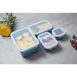 Emsa Clip & Close Rectangulaire Boîte 2,2 L Bleu 1 pièce(s) Bleu/transparent, Boîte, Rectangulaire, 2,2 L, Bleu, Polypropylène (PP), Élastomère thermoplastique (TPE), Allemagne